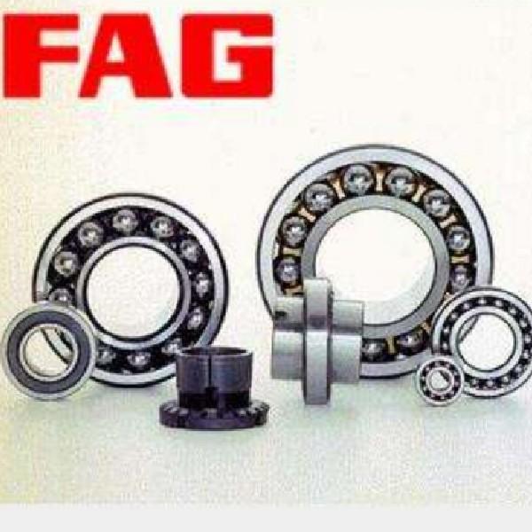 NU314-E-M1A FAG Cylindrical Roller Bearing #2 image