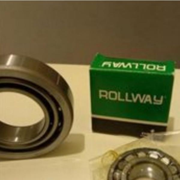 Nu222 Rollway Z-Axis Roller Bearing Single Row #1 image
